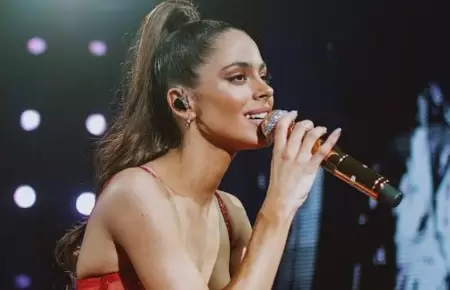 Tini habr�a llegado a un acuerdo para tomar posesi�n de su patrimonio