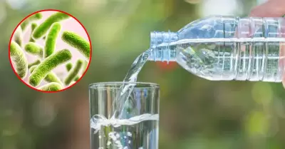 Digesa alerta por dos aguas de mesa con bacteria