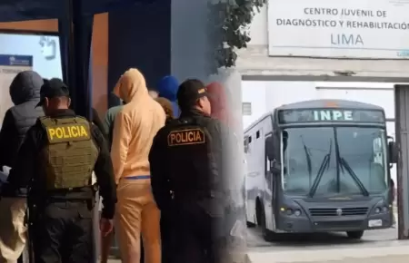 En caso de ser culpables podr�an ser internados en centro juvenil.