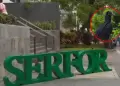 Serfor condena muerte de gallinazo en transmisi�n de popular streamer y activa sanciones