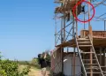 Kingteka es denunciado por disparar contra un gallinazo: streamer peruano afrontar�a hasta siete a�os de c�rcel