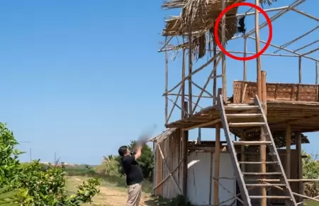 Kingteka es denunciado por disparar contra un gallinazo