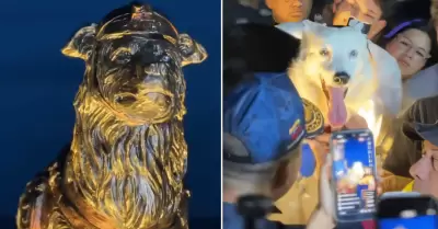 Inauguran estatua de perro que ayud� a salvar vidas tras sismos en Venezuela