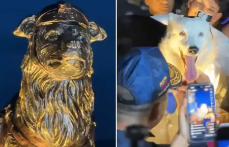 Inauguran estatua de perro que ayud� a salvar vidas tras sismos en Venezuela
