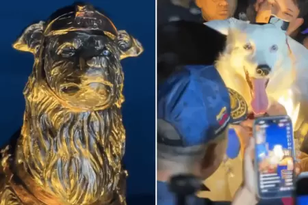 Inauguran estatua de perro que ayud� a salvar vidas tras sismos en Venezuela