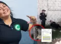 Caso China Polo: arma incautada al presunto asesino de Susy Aponte fue robada a polic�a