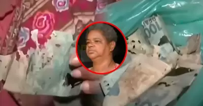 Mujer perdi� sus ahorros por culpa de las polillas.