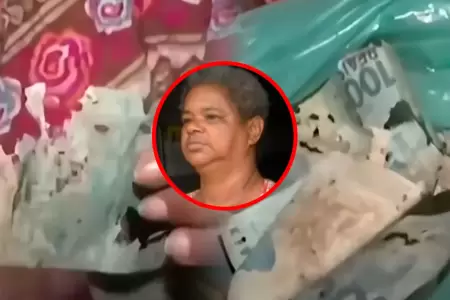 Mujer perdi� sus ahorros por culpa de las polillas.