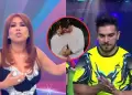Magaly destruye a Rafael Cardozo por seguir hablando de 'Cachaza': "Le hiciste perder diez a�os de su vida"