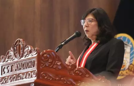Janet Tello rechaza afirmaciones ante la ONU
