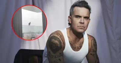 Robbie Williams reporta avistamiento de ave en Lima