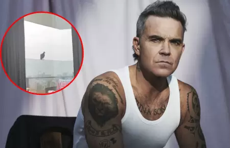 Robbie Williams reporta avistamiento de ave en Lima