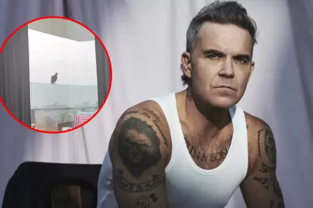 Robbie Williams reporta avistamiento de ave en Lima