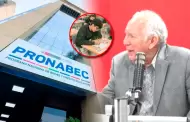 Pronabec: exministro de Educación apoya cambios en el reglamento y critica "falta de compromiso" de becarios