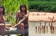 Captan a decenas de indígenas Mashco Piro cerca de concesiones madereras en Madre de Dios