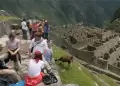Turista mexicano muri� en Machu Picchu en Machu Picchu tras sufrir una descompensaci�n