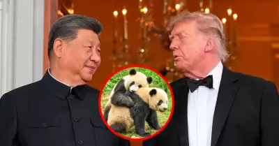 Xi Jinping anuncia env�o de dos pandas al Zool�gico de Atlanta