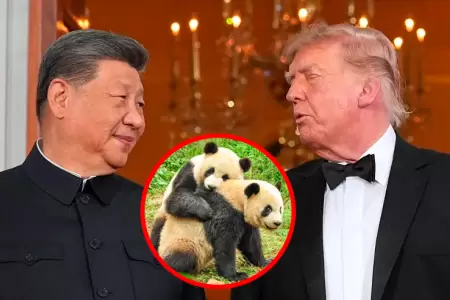 Xi Jinping anuncia env�o de dos pandas al Zool�gico de Atlanta