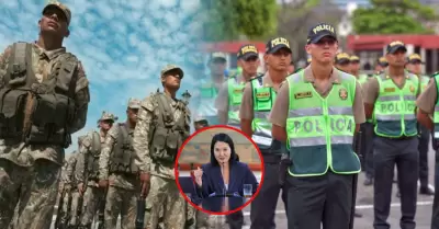 La mandataria indic� que las facultades permitir�an reforzar las fronteras.