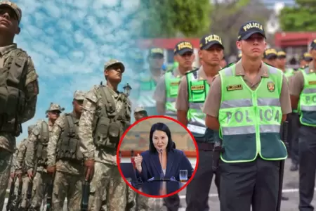 La mandataria indic� que las facultades permitir�an reforzar las fronteras.