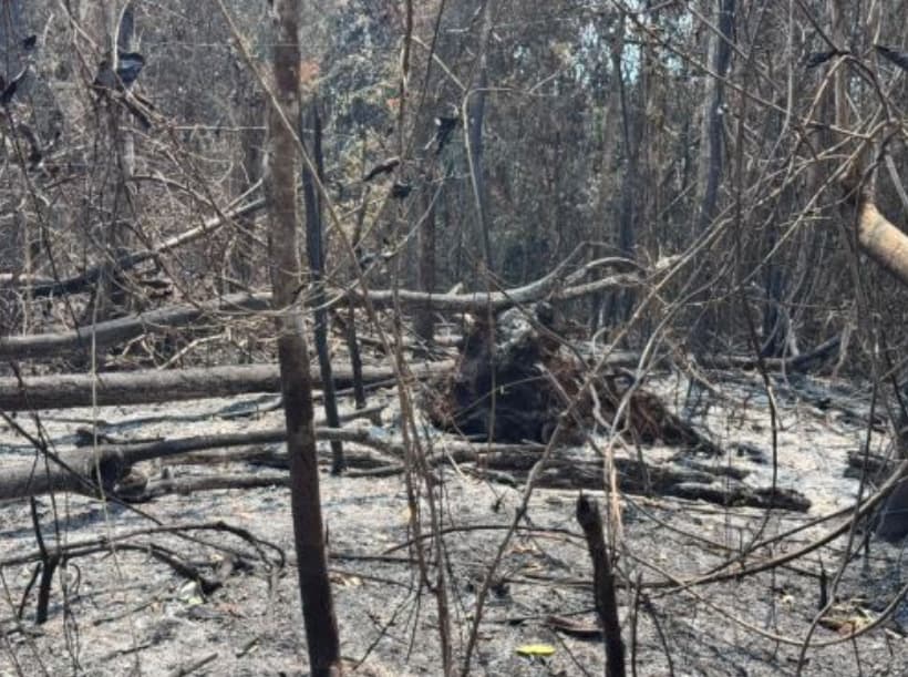 Incendio en Junín