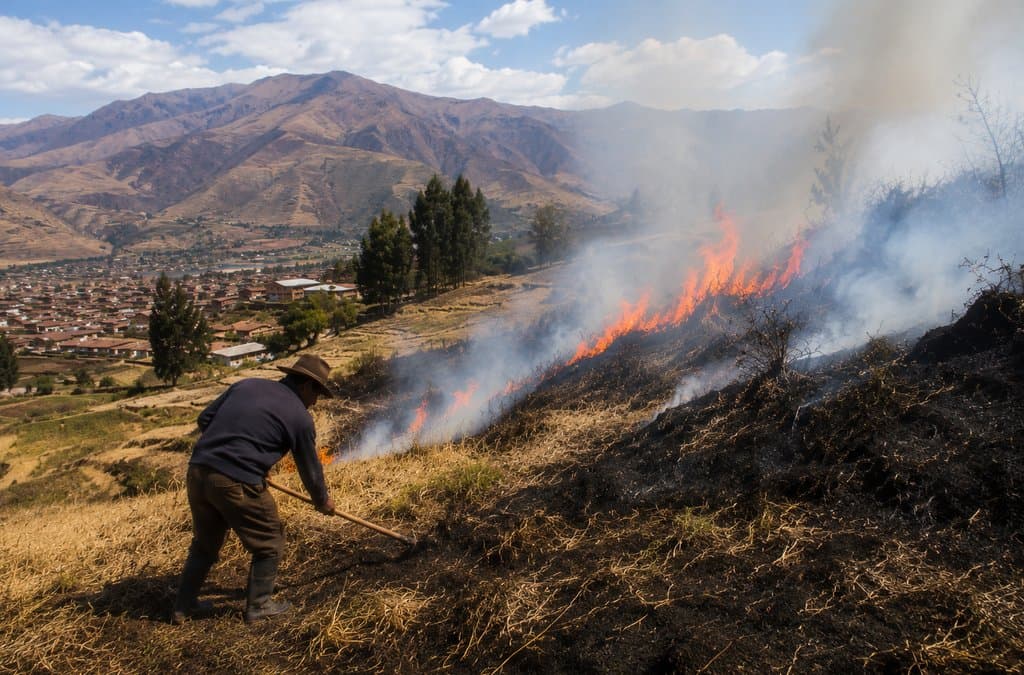 m�s de 29 mil 400 hect�reas agr�colas se ubican en zonas de riesgo por incendios forestales en Cusco.