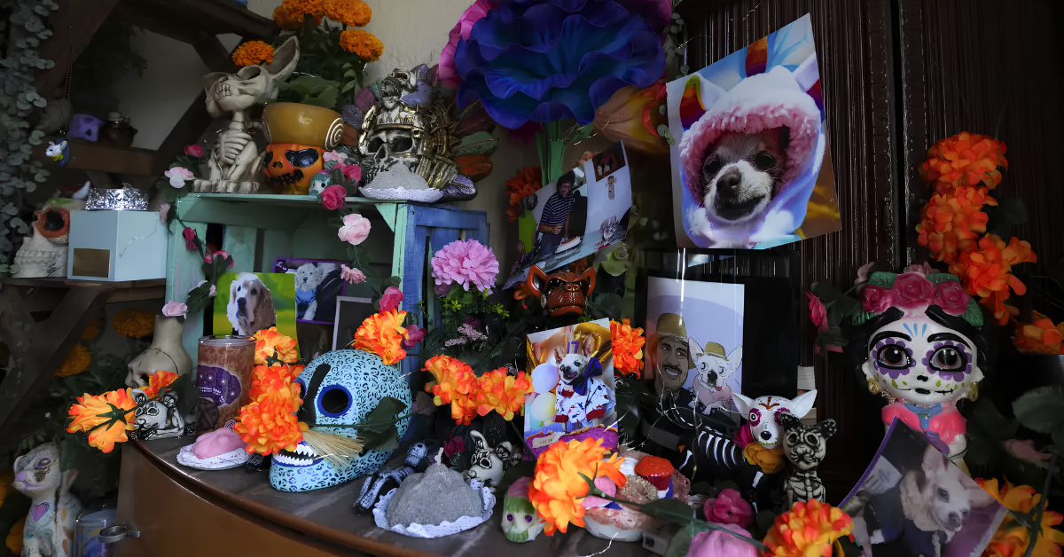 Altar para las mascotas fallecidas