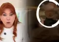 Hija de Marcelo Tinelli lanza imagen del Se�or de los Milagros y Magaly enfurece: "Bien irrespetuosa"