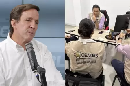 Francis Allison se reunir� con misi�n de observadores de la OEA