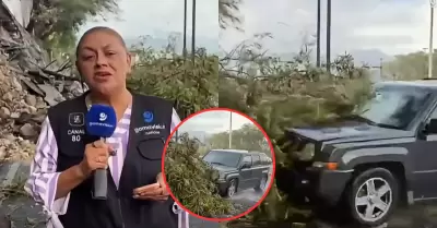Reportera y camar�grafo son embestidos en vivo