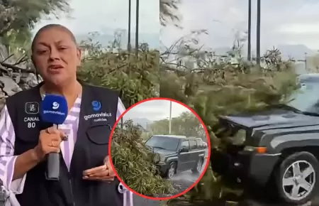 Reportera y camar�grafo son embestidos en vivo