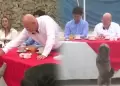 Perrito se cuela en desayuno electoral de Carlos Bruce en VMT y asistentes tienen inesperada reacci�n