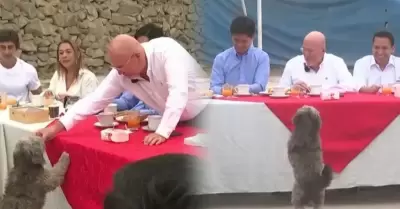 Perrito en desayuno electoral de Carlos Bruce