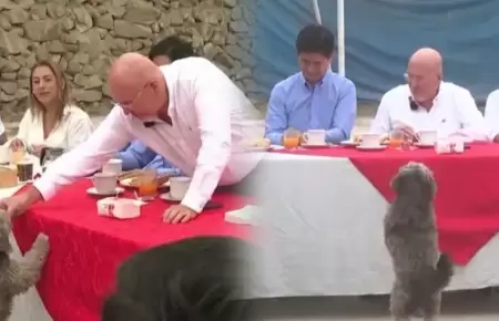 Perrito en desayuno electoral de Carlos Bruce