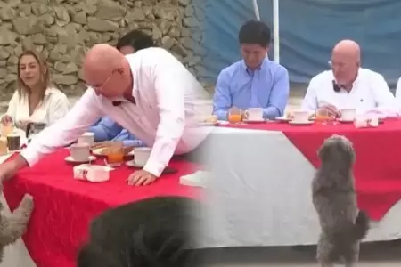 Perrito en desayuno electoral de Carlos Bruce