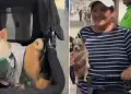 Mujer fue acompa�ada por sus tres mascotas a votar en estas Elecciones Regionales y Municipales 2026