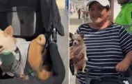 Mujer fue acompañada por sus tres mascotas a votar en estas Elecciones Regionales y Municipales 2026