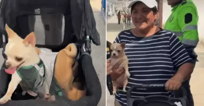 Mujer fue acompa�ada por sus tres mascotas a votar en estas elecciones municipal