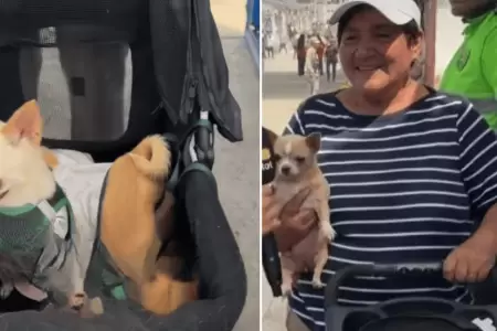 Mujer fue acompa�ada por sus tres mascotas a votar en estas elecciones municipal