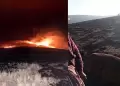 Emergencia en Cusco: mueren ganado y animales silvestres tras incendio de pastizales en Alto Pichigua