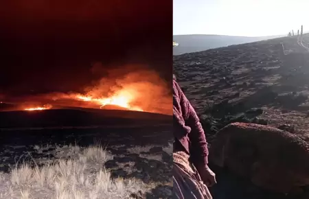 En Cusco, mueren ganado y animales silvestres tras incendio de pastizales en Alt