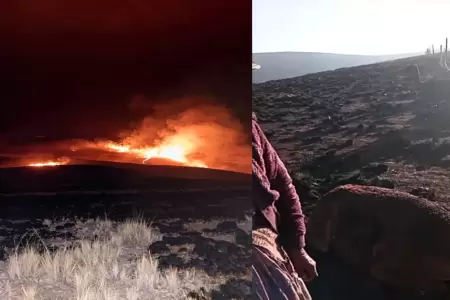En Cusco, mueren ganado y animales silvestres tras incendio de pastizales en Alt