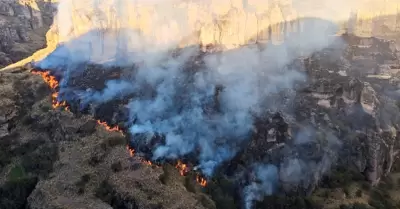Incendios forestales nuevamente se registrar�n en el pa�s durante esta semana.