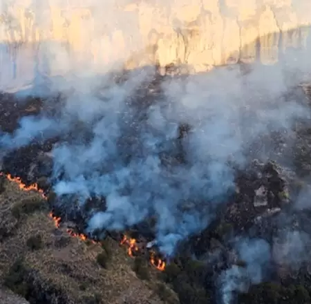 Incendios forestales nuevamente se registrar�n en el pa�s durante esta semana.