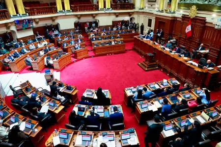 Pleno de la C�mara de Diputados.