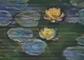 Exposici�n Faz de las aguas de Anna L�a Barandiar�n