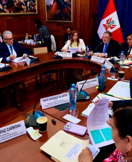 Comisi�n de Constituci�n del Senado.