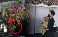 Perrito se cuela en concierto de BTS en Per�, pero seguridad lo saca del lugar: "El firu ARMY"