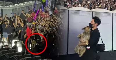 Perrito se cuela en concierto de BTS