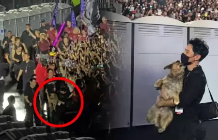 Perrito se cuela en concierto de BTS